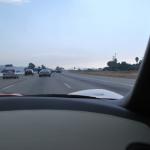 Palomar_0005 (September 10, 2011)